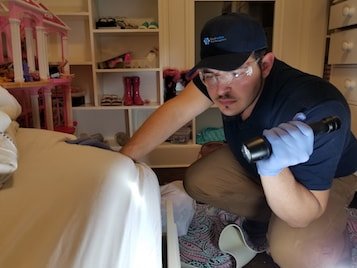 Rodent Control Waldwick NJ